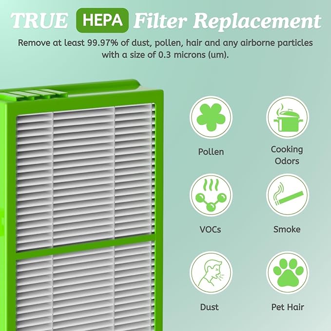 Nispira AER1 HAPF300AHD Allergan Remover Filter Replacement for Holmes Air Purifier HAPF30AT HAP242-NUC HAPF300AH-U4 HAPF300AHD-U4R True HEPA. 2 Packs