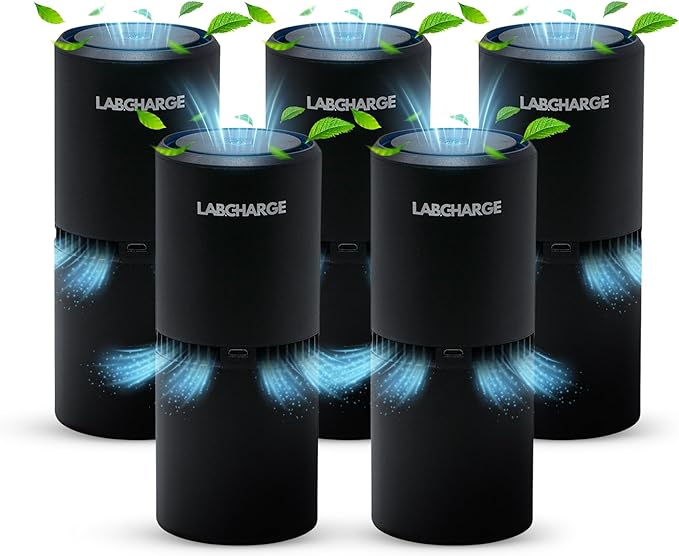 LabCharge Small Ionic Air Purifier for Home & Bedroom – Silent HEPA Filter – Covers 250 Sq Ft - Free Cleaner for Pets, Hair, Smoke, Dust, Odors & Dander – Compact & Black Design - Pack of 5