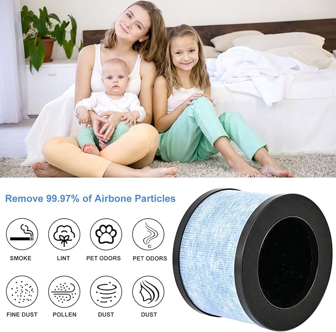 MK06 H13 True HEPA Filters Replacement for AROEVE MK01 MK06 and Kloudi Air Purifier DH-JH01, Intelabe EPI080/EP1080, Elechomes EPI081/EP1081, H13 Premium True HEPA Filter, 2 Pack