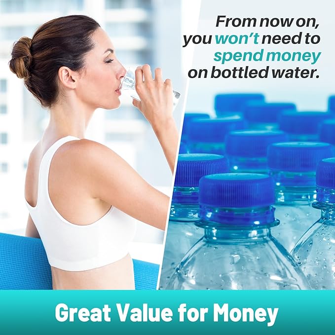 ICEPURE PLUS RWF1000AH NSF/ANSI 53 Certified Refrigerator Water Filter Replacement for Kenmore 46-9990, LG LT600P 5231JA2006B 5231JA2006A-S, KENMORECLEAR 9990, FML-2, LSC27931ST, LFX25960ST, 2PACK