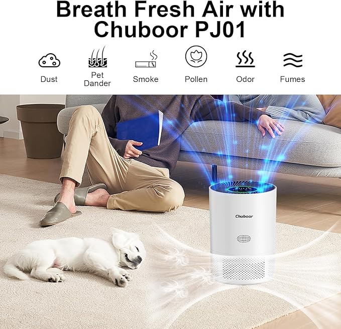 Chuboor Air Purifiers for Home Large Rooms up to 2190ft², H13 True HEPA Air Purifiers for Bedroom Dorm Room Pets or Smoke, Dust, Pollen, Odors, Auto Mode, Sleep Mode, PJ01, White