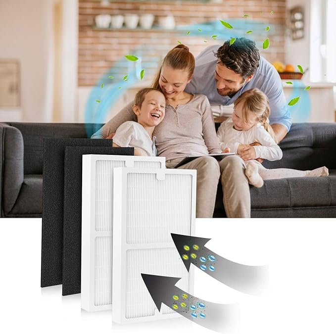 Replacement Filter C for Idylis IAF-H-100C, IAP-10-200, IAP-10-280, 2 Pack Type C Hepa Filter & 2 Activated Carbon Pre-Filter)