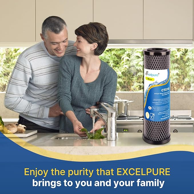 1 Micron 10" x 2.5" Whole House CTO Carbon Water Filter Cartridge Replacement for Home Countertop System, Dupont WFPFC8002, WFPFC9001, FXWTC, SCWH-5, WHEF-WHWC, WHCF-WHWC, CTO10, T01, 2PACK