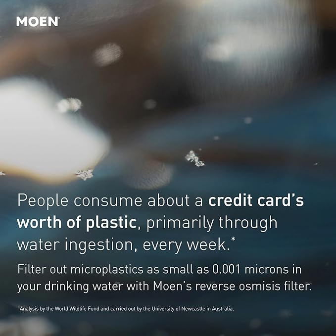 Moen 4-Stage Under Sink Reverse Osmosis Advanced Water Filtration System Stage 4 Replacement Filter, F9940