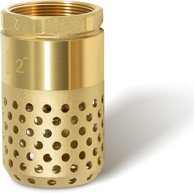 2-Inch Brass Foot Valve with Mesh Strainer, Universal One-Way Female NPT Check Valve with Backflow Prevention, Lead-Free Brass Construction for Irrigation and Water Pump Systems