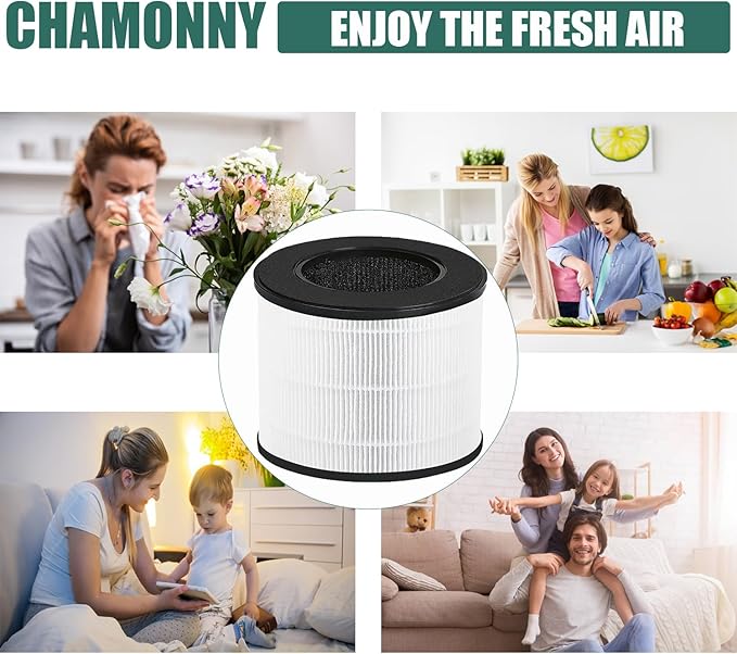 Airmega 100 Filter Replacement, Compatible with Coway Airmega 100 Air Purifier, 3-in-1 H13 True HEPA and Deodorization Filters (Airmega 100 Filter 2Pack)