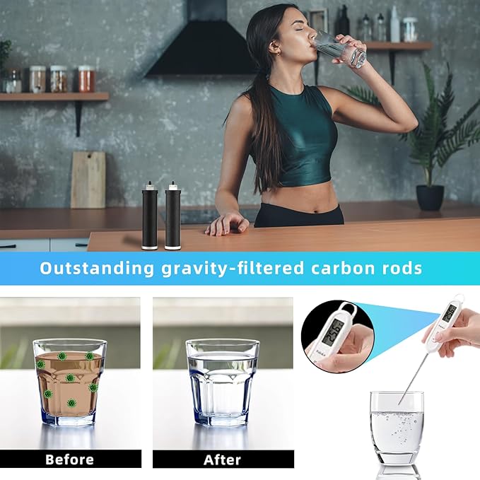 Water Filter Replacement for Berkey® BB9-2® Purification Elements Black Filter, Compatible with Berkey® Gravity Fed Water Filtration System, Pack of 2