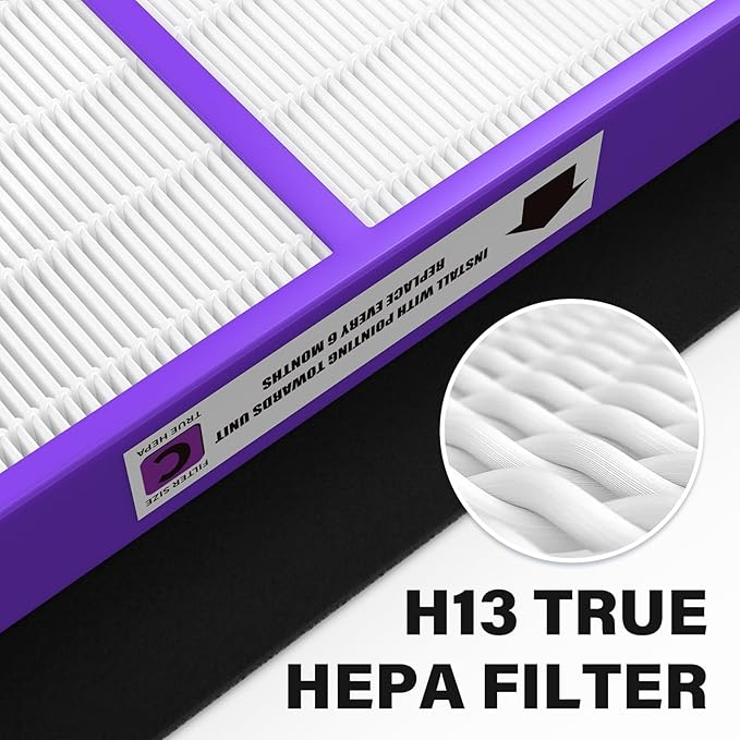 FLT5250PT True HEPA Replacement Filter Compatible with G-Guardian Air Purifier Filter C Pet AC5250PT AC5000E AC5300B AC5350W AC5350B CDAP5500, 2 True HEPA with 6 Carbon Pre-Filter