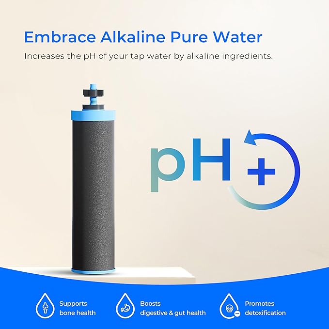 [Alkaline] Waterdrop Gravity-fed Water Filter System, Increase PH, Reduces Lead and up to 99% of Chlorine, with 2 Black Carbon Filters and Metal Spigot, King Tank Series, 2.25G