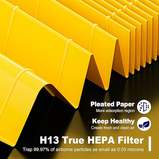 116130 Pet Care Filter Replacement Filter H for Winix 5500-2 AM80 Plasmawave Air Purifier, True HEPA Filter and Activated Carbon Filter Combo Pack, 2 Set