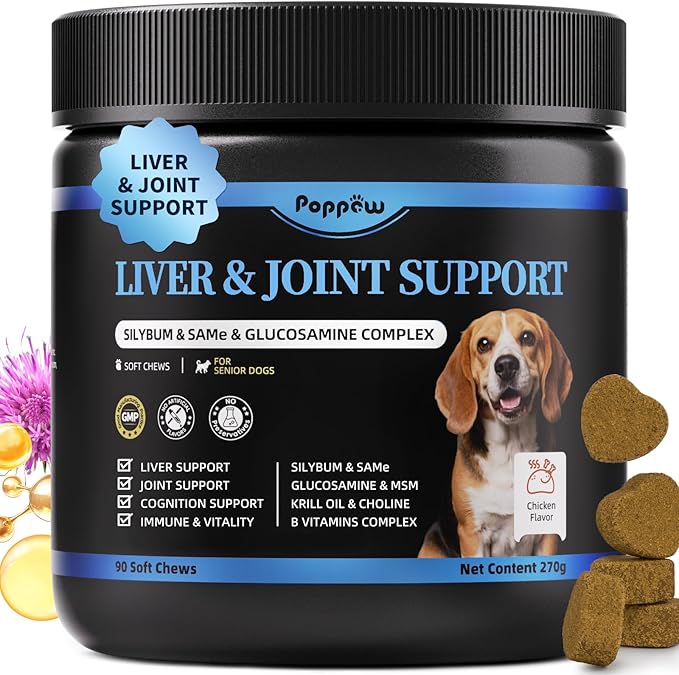Liver Health Supplement for Senior Dogs - Joint Health Support with Silybum Marianum, SAMe, Krill Oil, Glucosamine, B Vitamins Complex, MSM, Choline for Old Dogs, Chicken Flavor - 90 Soft Chews