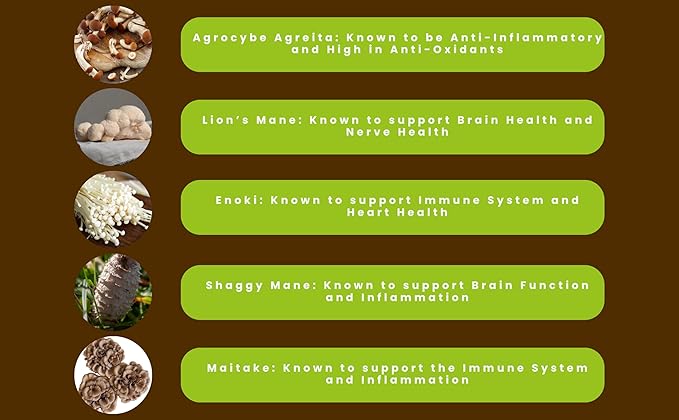 Hongo Mushroom Power - Perfect 10 Mushroom Complex Powder - Lions Mane, Reishi, Cordyceps, Chaga, Turkey Tail, Maitake Supplements - for Immunity, Energy, Memory & Focus - (60 Servings)