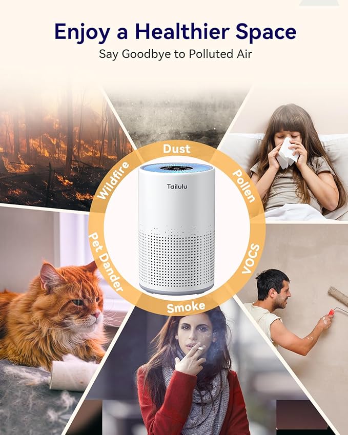 Air Purifiers for Bedroom Home Pets 1200 Ft², Tailulu H13 True HEPA Air Filter Portable Air Purifier with 12dB Sleep Mode, Speed Control, Timer, Quiet Air Cleaner For Odor Dust Smoke Pollen AP050