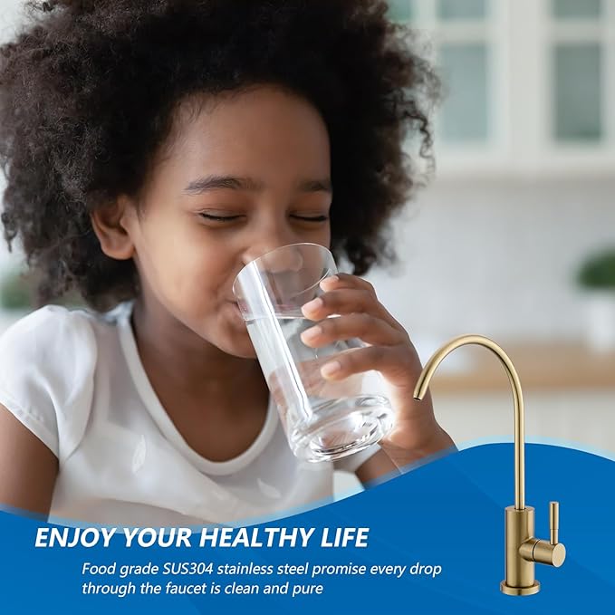 WEWE Drinking Water Faucet for Kitchen Sink, Gold Kitchen Water Filter Faucet Stainless Steel for Reverse Osmosis or Water Filtration System Beverage Non-Air Gap RO Faucet Gold Finish