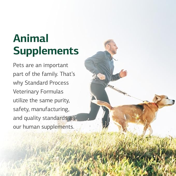 Standard Process Inc. Canine Whole Body Support - Multisystem Support Supplement for Canines - Nutritional Powder for Daily Health Maintenance - Multisystem Supplement Formula - 25 g
