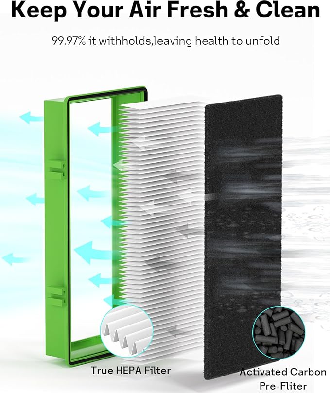 Aer1 Filter Replacement for Holmes Air Purifiers, 2 True HEPA Filters + 4 Carbon Booster Filters, HAPF30AT