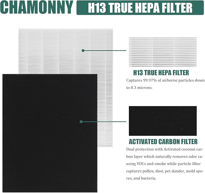D480 True HEPA Replacement Filter D4, Compatible with Winix D480 Air Purifier, Compare to Winix D4 Filter, Item Number 1712-0100-00, 1 H13 True HEPA Filters + 4 Activated Carbon Pre-Filters