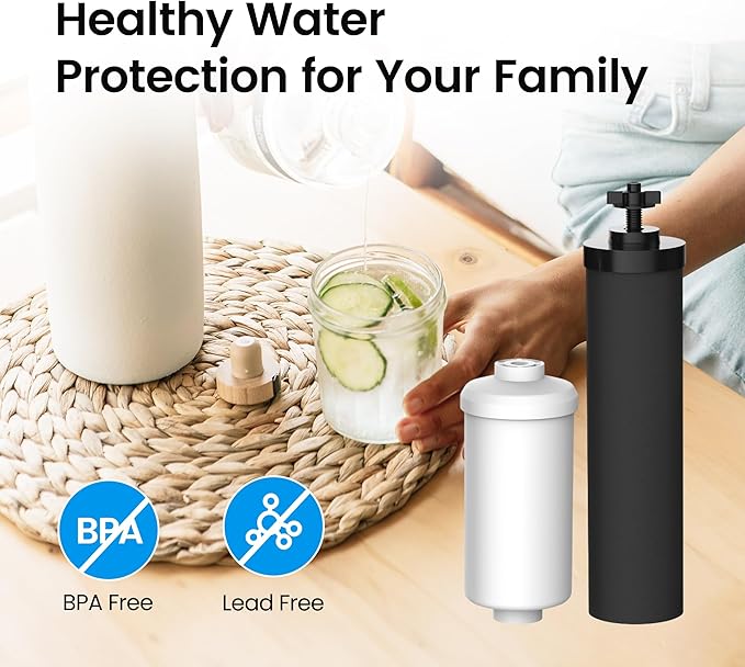 Filterlogic NSF/ANSI 372 Certified Water Filter, Replacement for Berkey® Black Filters (BB9-2®) & Fluoride Filters (PF-2®) Combo Pack