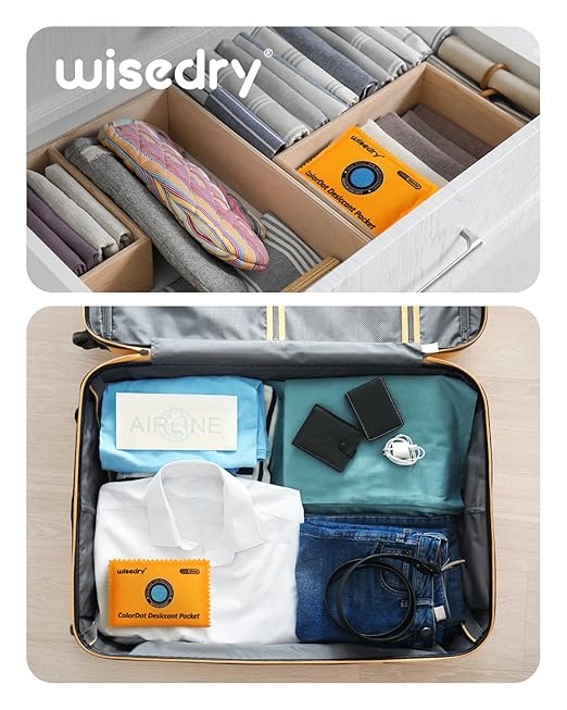 wisedry 100g Rechargeable Color-Indicating Desiccant Packs for Storage, Reusable Silica Gel Desiccant Packets, Moisture Absorbing Packs for Storage Bins, Safes, 3D Filaments, Closet, Electronics