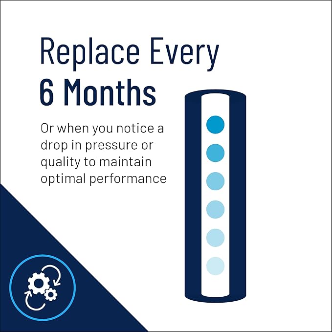 Pentair Pentek ECP50-20BB Big Blue Sediment Water Filter, 20-Inch, Whole House Heavy Duty Pleated Cellulose Polyester Replacement Cartridge, 20" x 4.5", Yellow End-Cap, 50 Micron