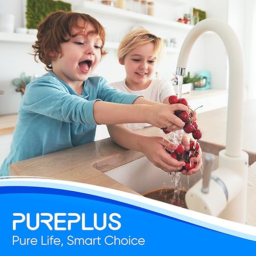 PUREPLUS 1-Stage Whole House Water Filter, with Iron Manganese Reducing Water Filter, for Well Water, 10"x4.5" Universal Housing