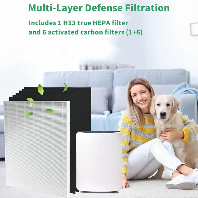 D480 H13 True Hepa Replacement Filter D4, Compatible with Winix D480 Air Purifier, 1 True HEPA+6 Carbon Filters, Part Number 1712-0100-00, True HEPA D4 Filter.