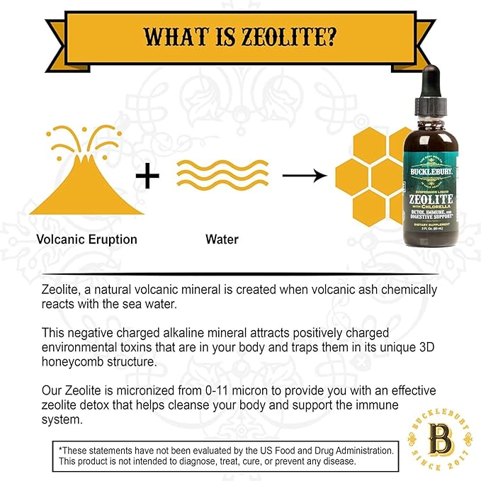 Zeolite Liquid Suspension w/Chlorella - Detox Support, Immune System and Digestive Tract Health Support for Kids and Adults (60 Servings)
