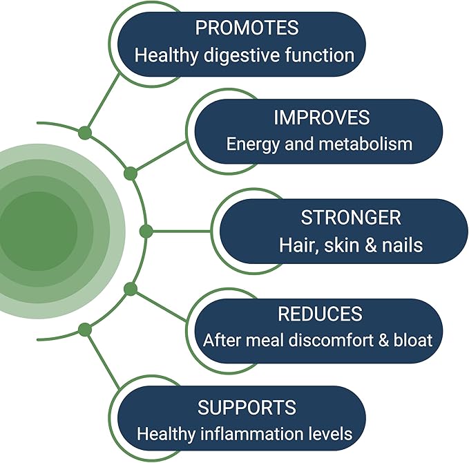 HCL Guard+ | Promotes Healthy Digestive Function | Betaine Hydrochloride, Organic Ginger Root, DGL, and Pepsin | 60 Servings