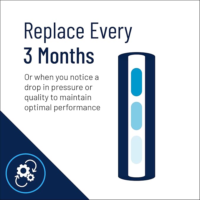 Pentair Pentek GAC-BB Big Blue Carbon Water Filter, 10-Inch, Whole House Heavy Duty Granular Activated Carbon (GAC) Replacement Cartridge, 10" x 4.5"