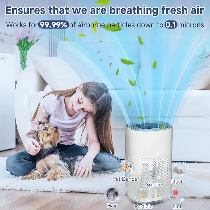 2 Pack 12030 & 11030 Replacement Filter, 1000 Sq. Ft. Capacity, Fit for Clorox Medium Room 11030 & 11031 Air Cleaner, Part #12030, 3-stage Filtration, H13 True HEPA, Activated Carbon Filter