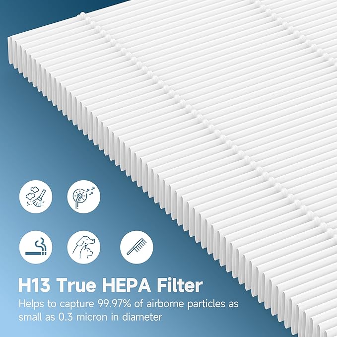 TL2867 Replacement HEPA Filter Compatible with MOOKA TL2867 Air Cleaner Purifier, 2 Packs