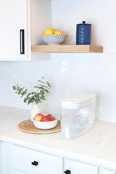 LifeStraw Home – Water Filter Dispenser, 18-Cup, Pebble, BPA Free Designed for Everyday Protection Against tap Water contaminants Including Bacteria, parasites, microplastics, Lead, Mercury