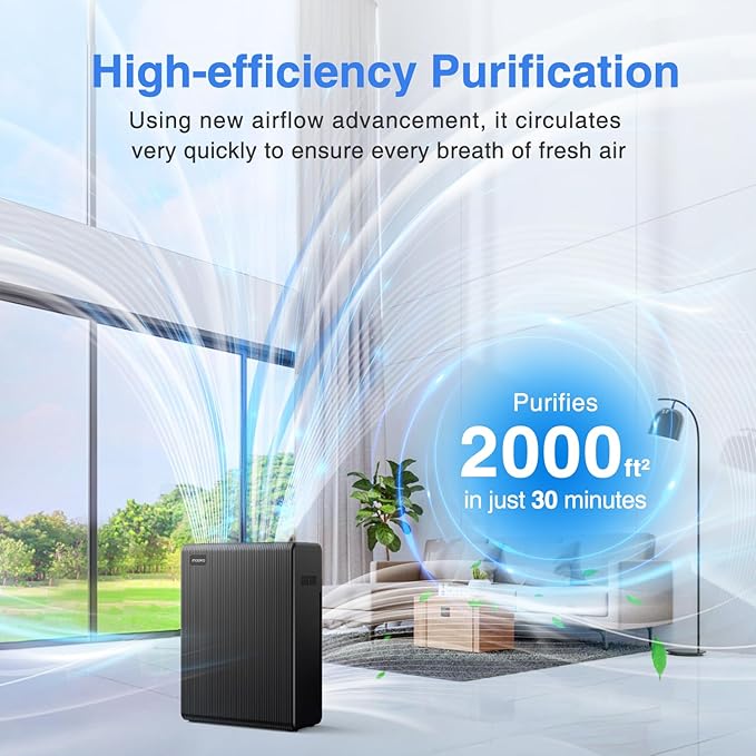 Air Purifiers for Home Large Room up to 2000ft², H13 HEPA Air Filter for Pets Hair Dander Smoke Pollen Dust, Non-Ozone, Portable Air Purifiers for Bedroom Office Living Room, E-300L(Black)