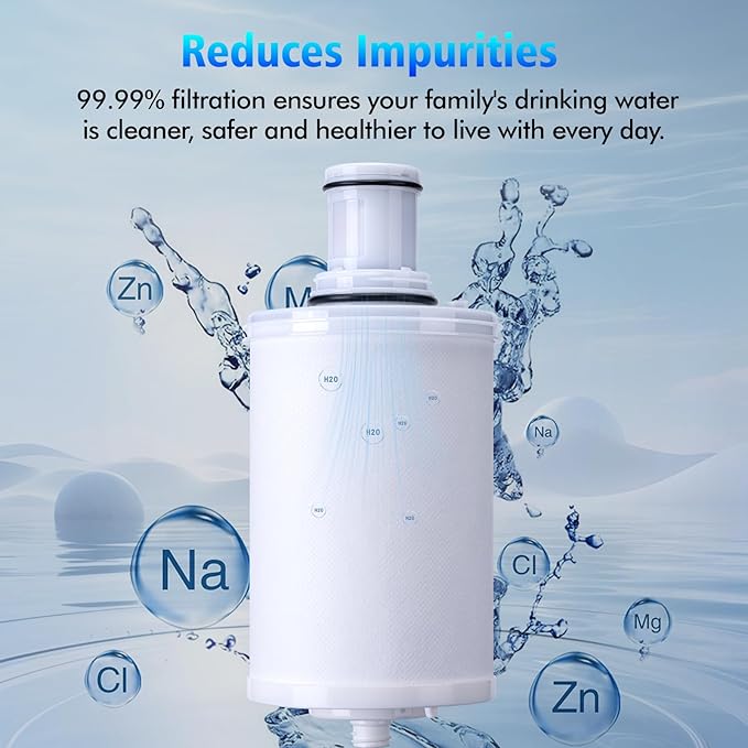 100186 Original Water Filter Replacement Cartridge Compatible with Amway Espring,3-in-1 Filter, Improving Water Purity