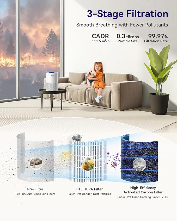 Air Purifiers for Bedroom Home Pets 1200 Ft², Tailulu H13 True HEPA Air Filter Portable Air Purifier with 12dB Sleep Mode, Speed Control, Timer, Quiet Air Cleaner For Odor Dust Smoke Pollen AP050