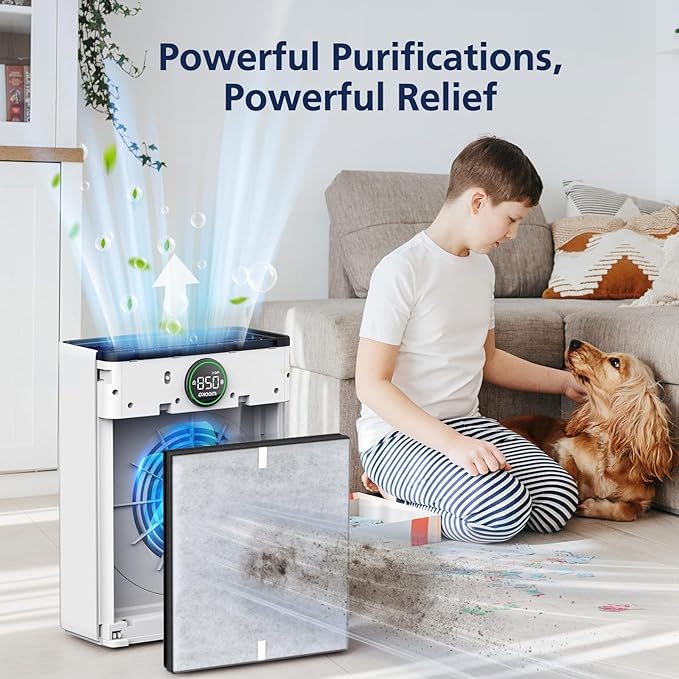 PR1 Replacement Filter for Mooka PR1 Air Purifier for Home Large Room up to 2200sq.ft, HEPA Activated Carbon, with 4Pcs Washable Filter for Pets, 2 Packs
