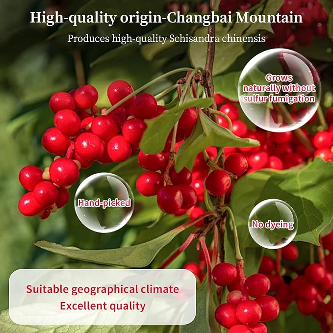 Wanhua Hall Schisandra Berry Dried Schisandra Chinensis 10.6oz/300g Schisandra Berry Tea Natural Wu Wei Zi Caffeine Free 五味子 五味子茶 北五味子