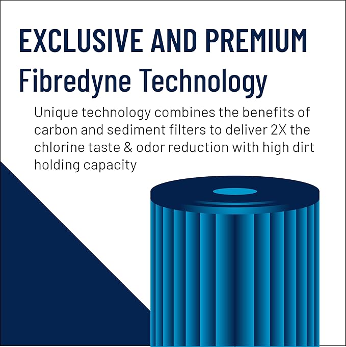 Pentair Pentek FloPlus-20BB Big Blue Carbon Water Filter, 20-Inch, Whole House Modified Molded Carbon Block Replacement Cartridge, 20" x 4.5", 0.5 Micron