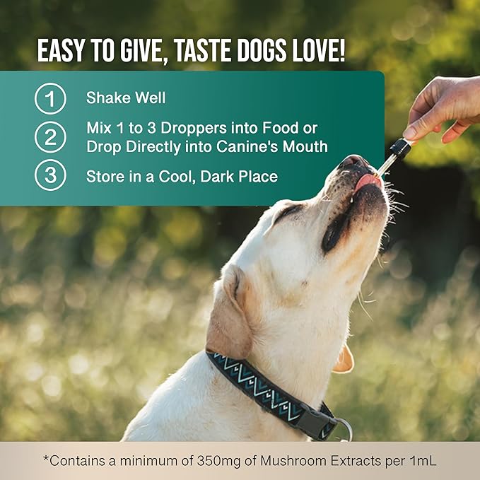 MycoDog Digest - Mushroom Extract & Adaptogen Tincture Dog Supplement - Dog Digestive Support Blend - Roots, Herbs, & Mushroom Extracts Including Chaga, Shiitake, & Turkey Tail