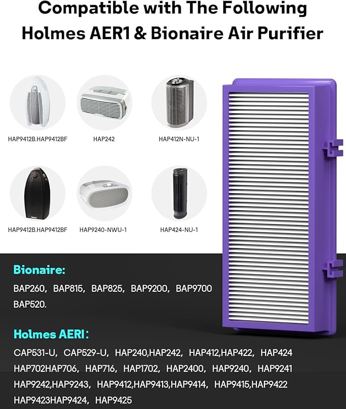 Performance Plus Aer1 Filter Replacement for Holmes Air Purifiers, 2 True HEPA Filters + 4 Carbon Booster Filters, HAPF300AP-U4