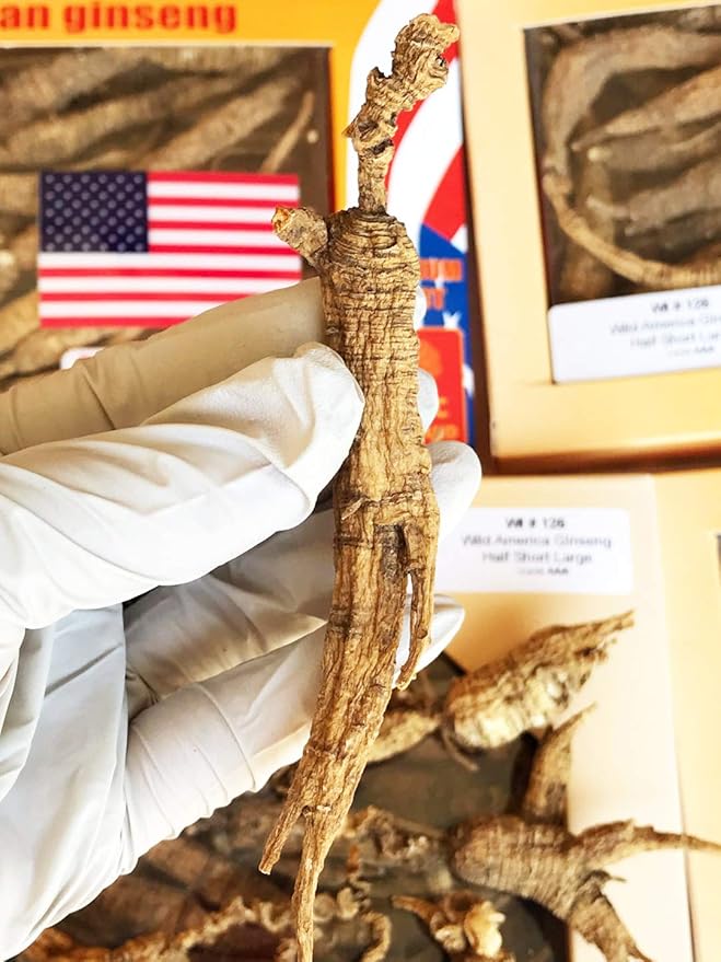8OZ=227g/Box American Wild Ginseng 15~20 Years, Wisconsin Whole Ginseng Root Hand-Selected | 美国威斯康辛州野生西洋参 花旗参 野泡参 大号 |Cultivated American Wisconsin Ginseng Lager WI 126#L 8OZ/Box