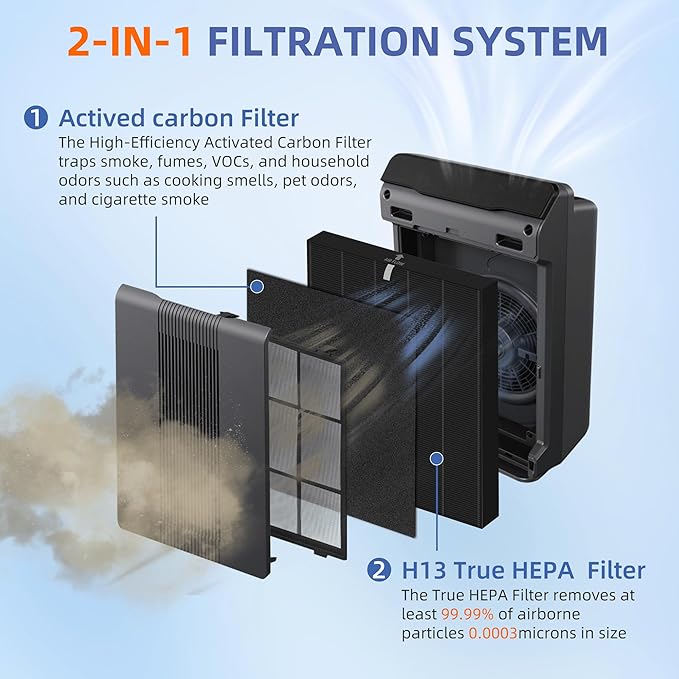 115115 HEPA Smoke Remover Replacement Filter A for Winix Plasmawave Air Purifier C535 5300 5300-2 6300 6300-2 P300 AM90 C909 9800,2 x True HEPA Size 21 Filters + 8 x Carbon Pre-Filters
