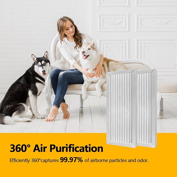 990051000 True HEPA Air Purifier Replacement Filter Compatible with Hamilton Beach TrueAir 04383 04384 04385 04386 Compact Pet Air Purifiers, 2 HEPA Filters and 4 Activated Carbon Pre-Filters
