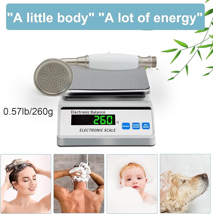 HOMEDEC Vintage Handheld Shower Head with 59inch Flexible Hose High-Pressure Antique Rain Showerhead Combo Replacement No Wand Holder, Round Telephone Shape, Brushed Nickel