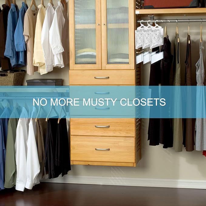 ZSZMFH 6 Pack Moisture Absorber & Max Odor Eliminator Hanging Bag, Charcoal Smell Remove Damp Musty Smell,Hanging Closet Dehumidifier Bags with 25g of Activated Charcoal (220g/pack)…