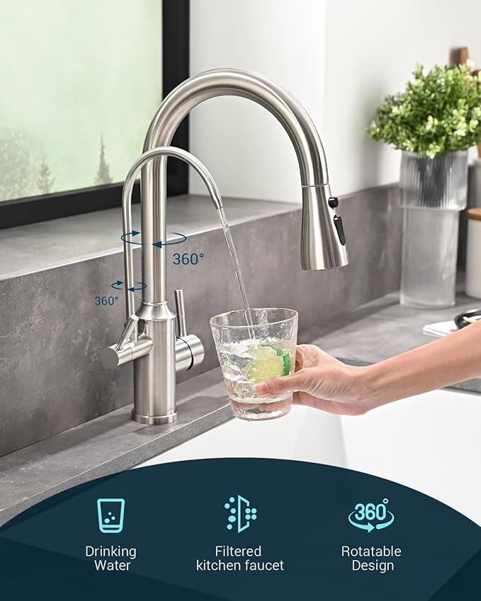 APPASO Kitchen Faucet with Water Filter, Pull Out 3 Way Sink Faucets with Sprayer, High Arch 2 Handle Faucet - 2 in 1 Faucets Brushed Nickel, Without Water Filtration Device