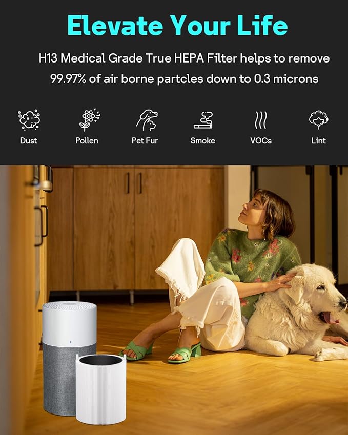 Leemone 311 Auto SmokeBlock Filter Compatible with Blueair Blue Pure 311 Auto Air Purifier, Blue Pure 311 Auto Filter Replacement, Activated Carbon Filter, 2 Pack