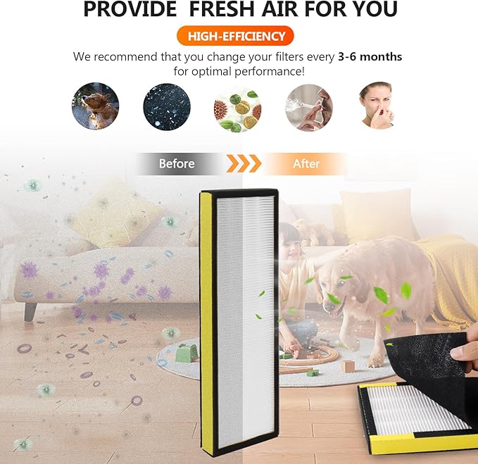 FLT4825 Replacement Filter B Replaces AC4825 AC4825DLX AC4825E replacement filter (FLT4825 hepa filter b replacement Pack of 2 x HEPA Filters + 2 x Carbon Pre-Filters) by Blutoget