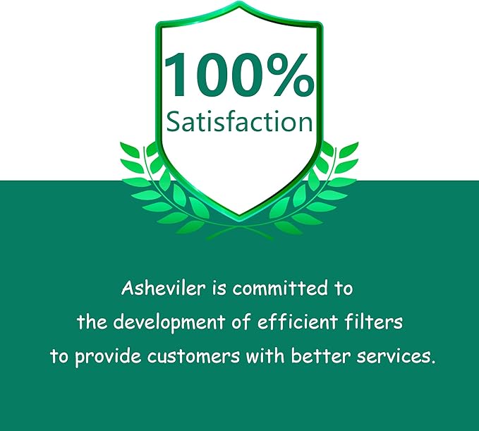 Airmega 250/250S Filter Replacement, Compatible with Coway Airmega 250S and Coway Airmega 250 Air Purifier, Max 2 Green True HEPA and Active Carbon Filter, 2 Pack