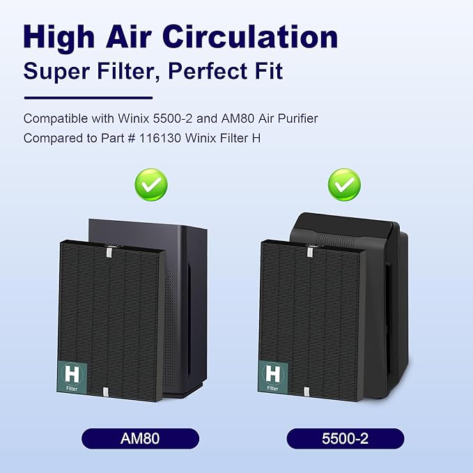 116130 Smoke Remover Replacement Filter H for Winix 5500-2 AM80 Plasmawave Air Purifier, True HEPA Filter and Activated Carbon Filter Combo Pack, 2 Set, Black
